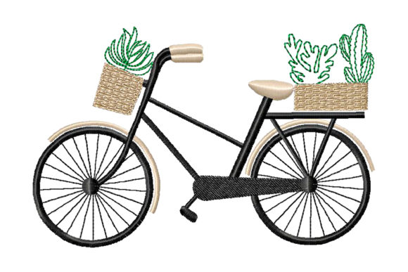 Bicycle with Cacti and Succulents