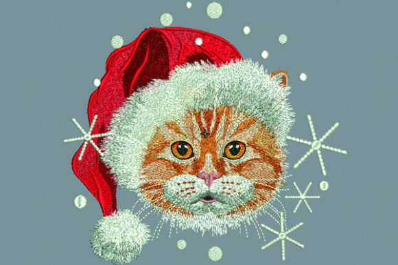 Cat with Santa Hat